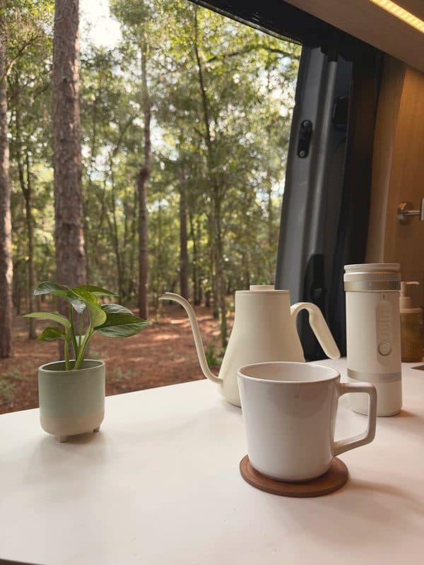 A mug, kettle and small plant on the counter by the open door, pines outside