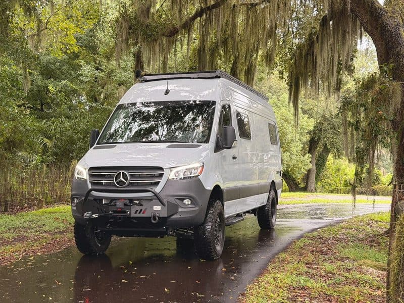 Nellie head-on on a wet driveway under moss-draped live oaks