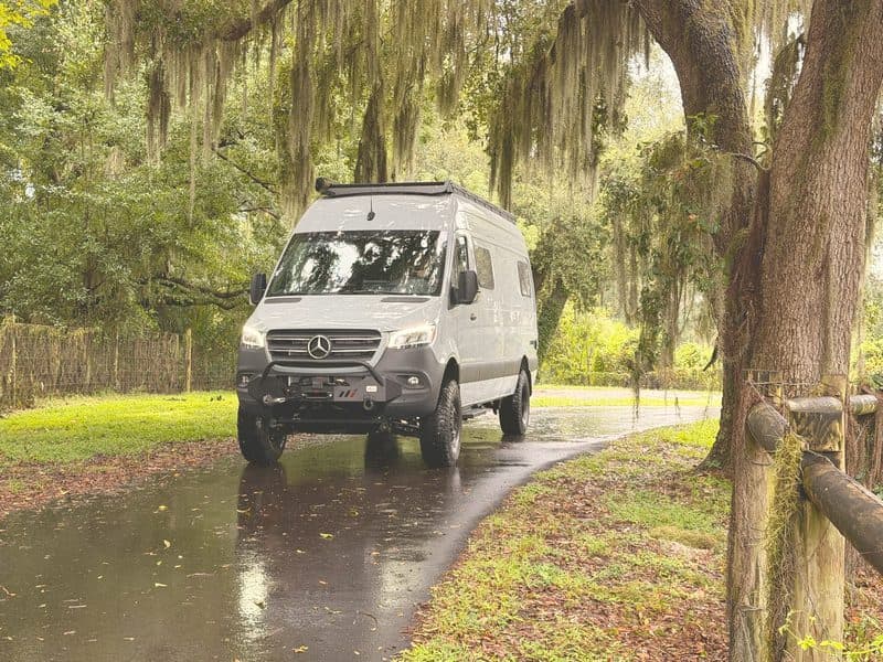 Nellie on a wet road under moss-draped live oaks