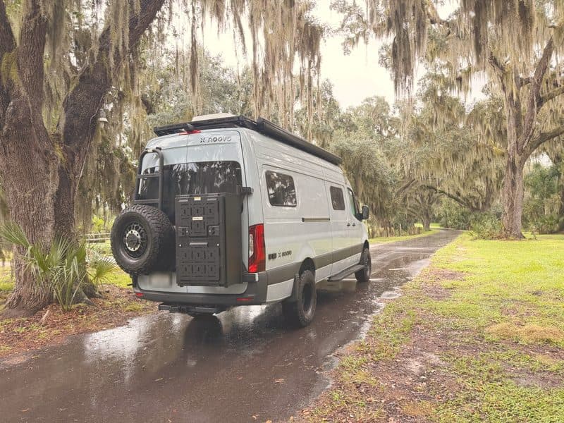 Nellie from behind on a wet road lined with live oaks