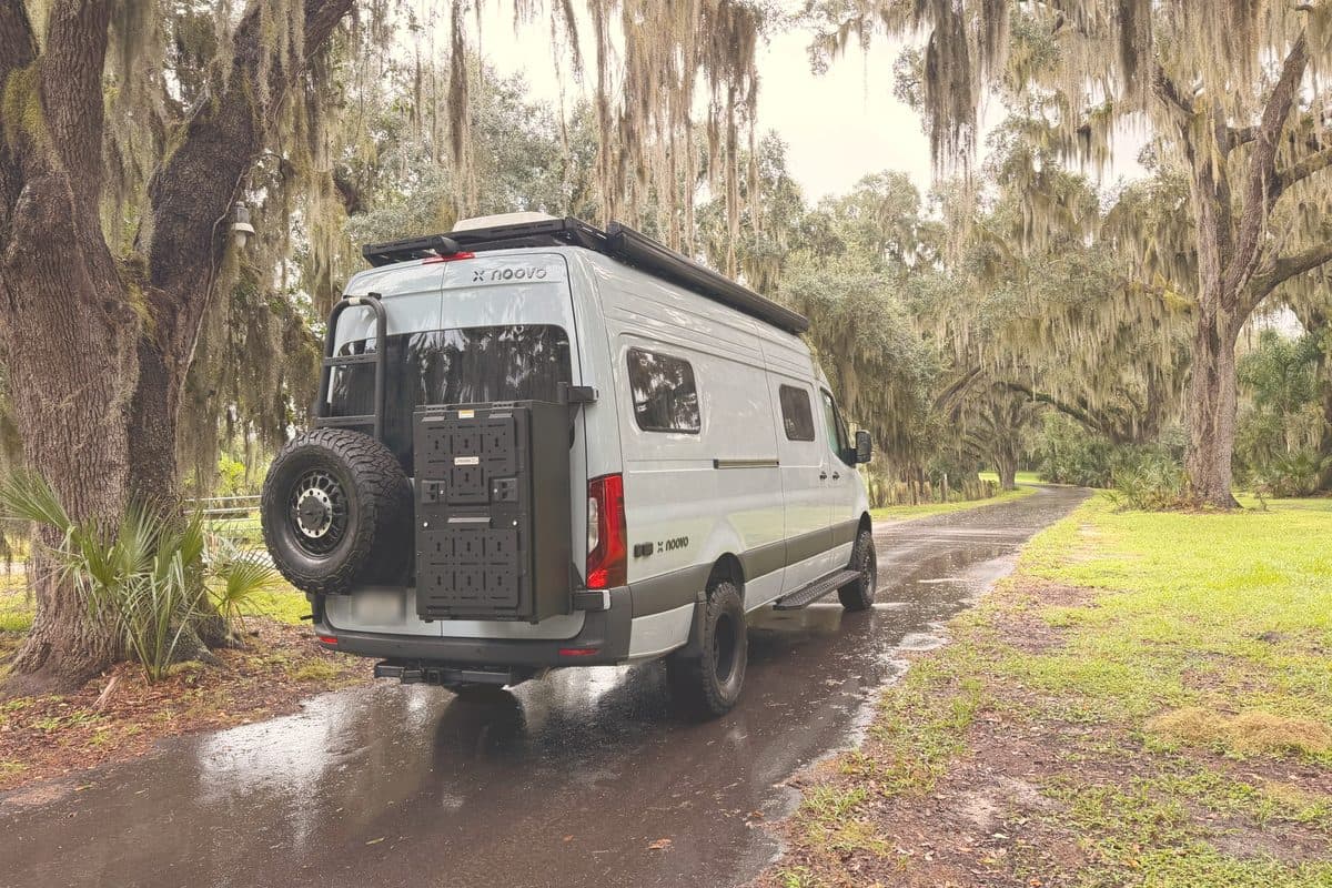 Nellie from behind on a wet road lined with live oaks