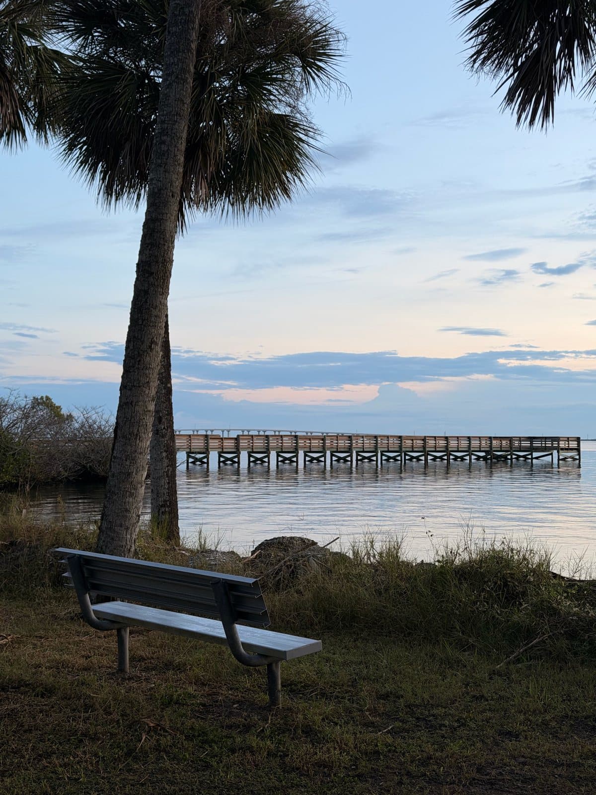 A bench under a palm facing the Manatee Hammock fishing pier on the Indian River in Titusville at sunrise