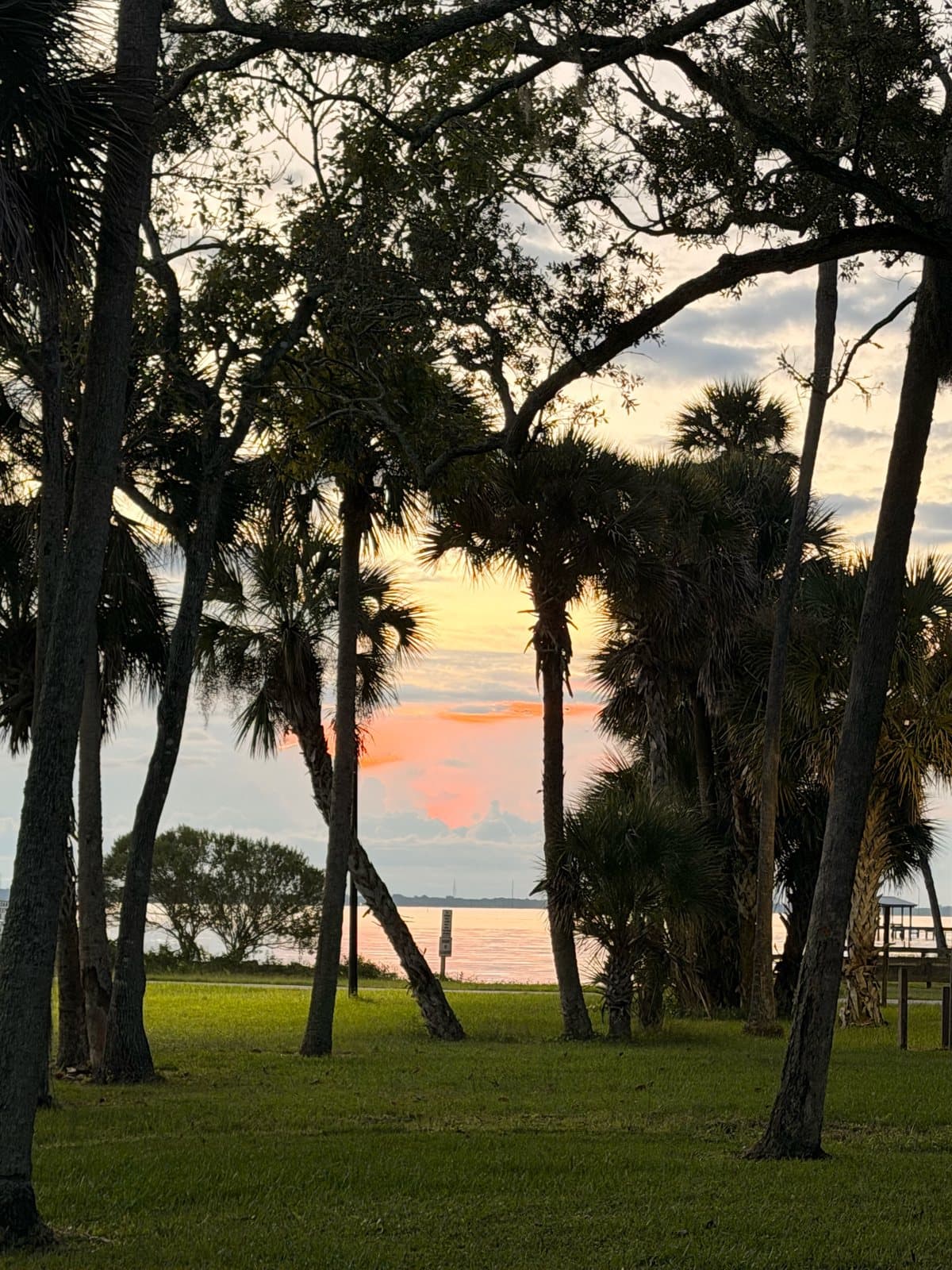 Palms and oaks silhouetted against sunrise over the Indian River at Manatee Hammock in Titusville