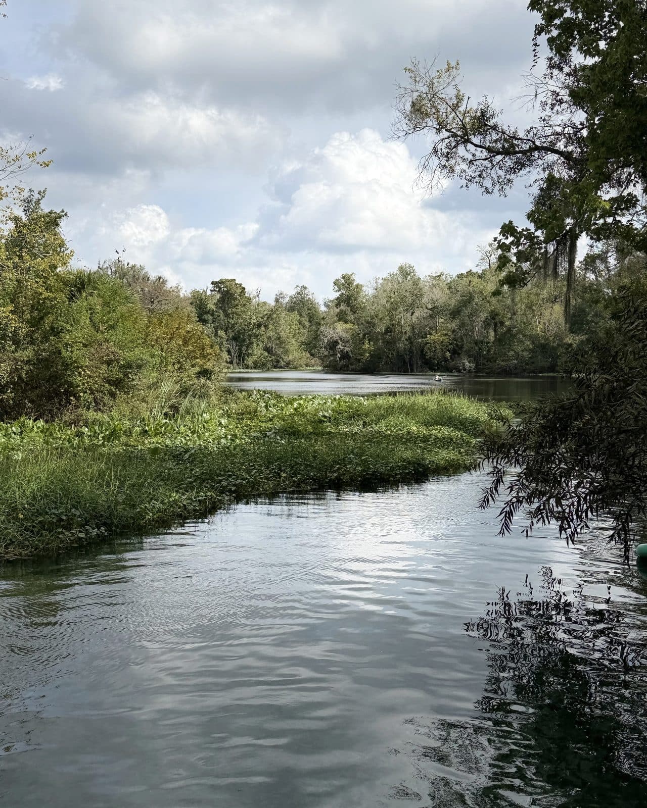 The Wekiwa Springs spring run in Apopka under a cloudy sky, with a green bank of water hyacinth on the left and a lone kayaker far down the river